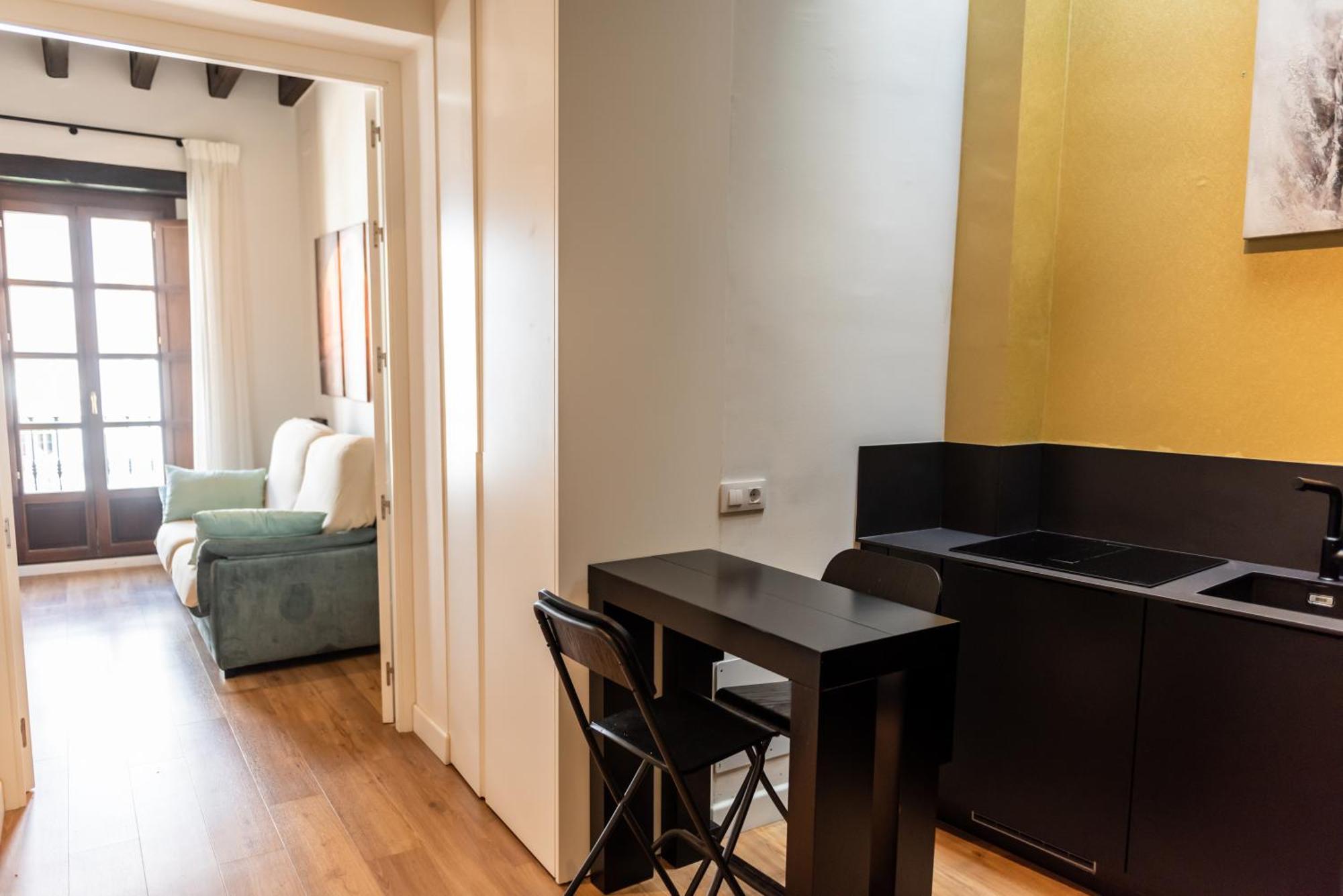 Duplex Luxury Giralda With Terrace Appartamento *